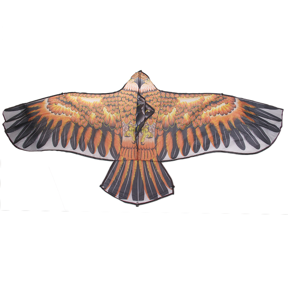 Létající drak orel hnědý - náhled 2