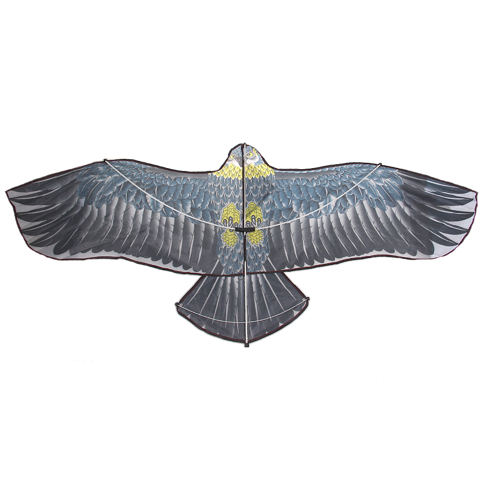 Létající drak orel modrý - náhled 3