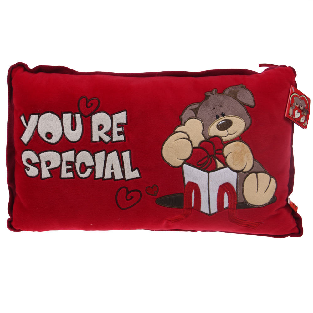Červený polštářek You're special - náhled 1