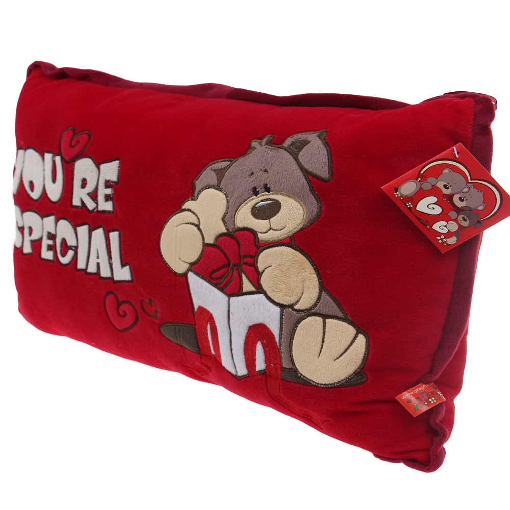 Červený polštářek You're special - náhled 2