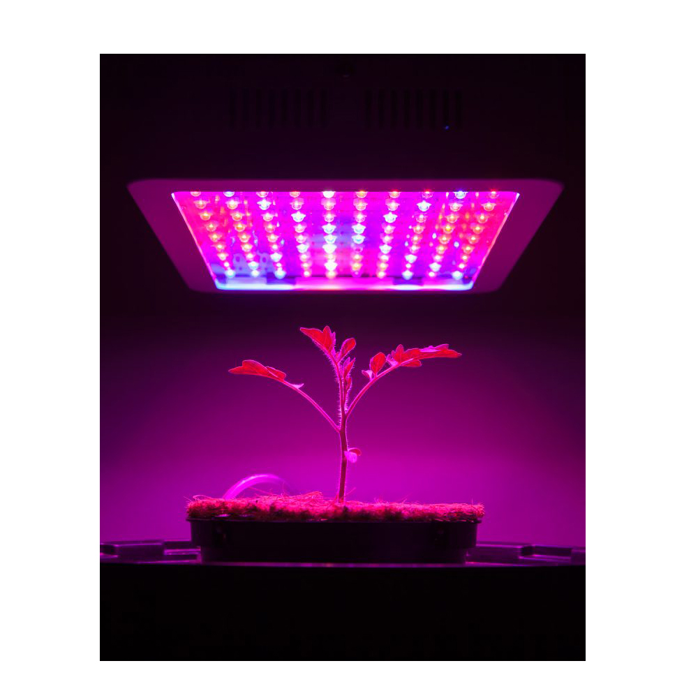Plnospektrální LED světlo pro růst rostlin - náhled 4